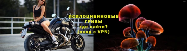 ECSTASY Волоколамск