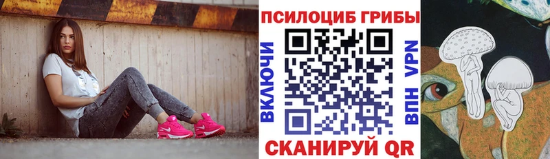 Псилоцибиновые грибы Cubensis Подольск